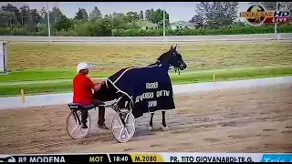 ZABUL FI GRAN PREMIO TITO GIOVANARDI 2018