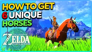 How to Get All 6 Rare Horses Zelda Tears of the Kingdom