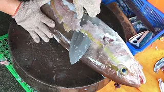 Giant Japanese Amberjack Cutting - Taiwanese seafood