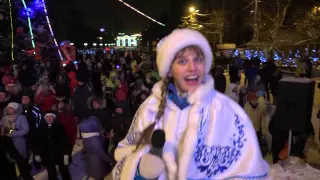 Новый 2015год Ночь в ЦПКиО им.В.Маяковского