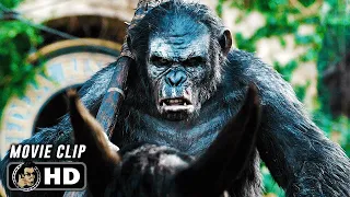 Apes Do Not Want War Scene || DAWN OF THE PLANET OF THE APES 2014 Sci Fi, Movie CLIP HD
