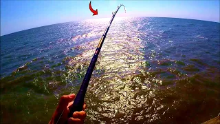 You won't believe what we caught at Springmaid Pier (Myrtle Beach Fishing)