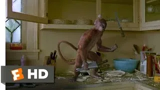 Jumanji (1/8) Movie CLIP - Wasps and Monkeys (1995) HD