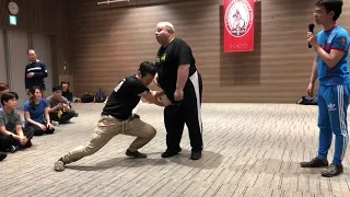 Mikhail Ryabko, Daniil Ryabko Systema seminar in Tokyo 2019 【システマ】オリジンセミナーダイジェストvol.2