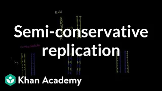 Semi conservative replication | Biomolecules | MCAT | Khan Academy