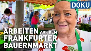 Knochenjob mit Erfolgsfaktor – Arbeiten auf dem Frankfurter Bauernmarkt | erlebnis hessen | doku