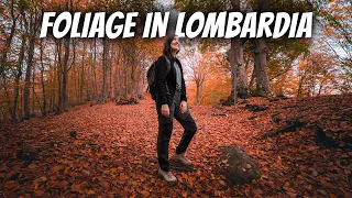 5 spectacular PLACES to admire the FOLIAGE in LOMBARDIA🍁