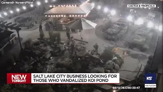 Teen vandals destroy koi pond, try to harm fish at Salt Lake City business