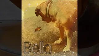 Chasing Butterflies - Tim Blakeman (RIP Bella)