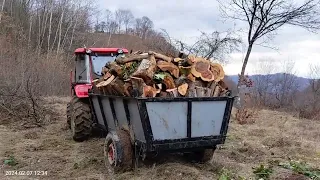 Донг Фенг Їдем в гори по дрова