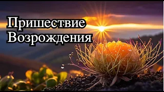 Как возродить  свою жизнь: практика осознанности