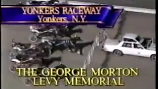 1990 Yonkers Raceway - George Morton Levy Memorial Final