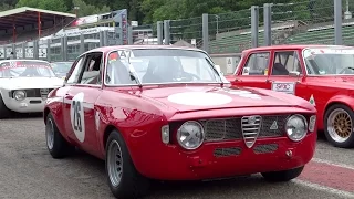 Alfa GTA,GTA/M TRACKDAY SPA WITH GREAT SOUND