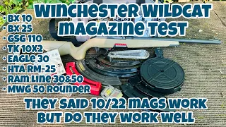 Testing All Of My Ruger 10/22 Magazines In A Winchester Wildcat