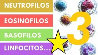 LEUCOCITOS » ¿Qué son? Funciones, Valores adecuados (Parte 3)