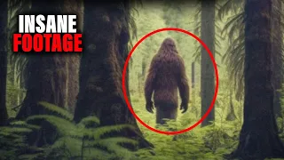 Chilling Trail Cam Footage That Will Haunt You #cameracaptures