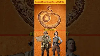 Largest Ever Snake Found In India 🤯 | #shorts #facts #science #titanoboa #biology #trending