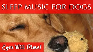 Sleep Music Video for Dogs Black Screen | 432 Hz