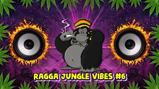 Ragga Jungle Drum & Bass Vibes #6 (Reggae DnB Mix)