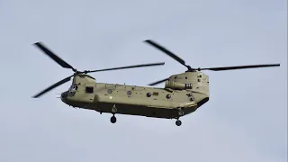 Boeing CH-47F Chinook op Gilze-Rijen (NL) 13/02/2024