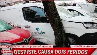 camião perde os sentidos. CMTV fail