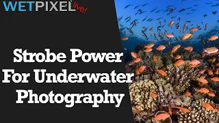 Strobe Power Guide for Underwater Photographers