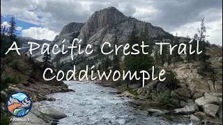 A Pacific Crest Trail Coddiwomple Documentary