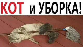 Лютые приколы. КОТ И УБОРКА!!! Самое смешное видео! Попробуй не ЗАСМЕЯТЬСЯ – Domi Show