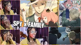 Anya is Adorable ! Loving This 🥰😃 | SPY x FAMILY Episode 1 Reaction | Lalafluffbunny