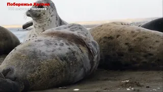 04 12 2022 Новости Сегодня. События Дня: ЧП, Катаклизмы, Москва Ураган США Торнадо Европа Цунами