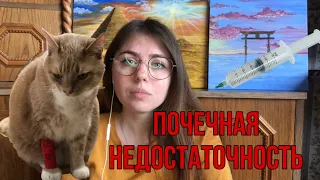 КАК ЗАБОЛЕЛ КОТ, СИМПТОМЫ ПОЧЕЧНОЙ НЕДОСТАТОЧНОСТИ