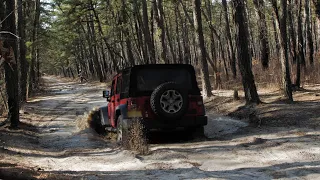 Saturday Afternoon in Wharton State Forest