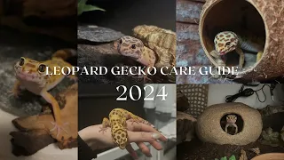 Leopard Gecko Care Guide 2024 - Rosie's Reptiles