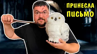 Настоящая Сова Гарри Поттера! Букля WWO Harry Potter