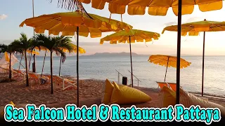 Sea Falcon Hotel & Restaurant Reviews | Jomtien Beach Pattaya Hotel Reviews