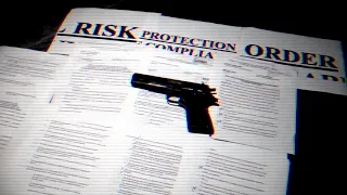 Gun related deaths remain on the rise despite Florida Red Flag laws