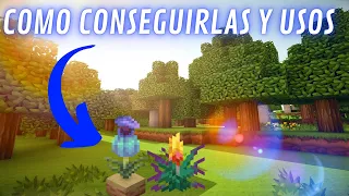 PARA QUE SIRVE la PLANTORCHA y la PLANTA ODRE en MINECRAFT