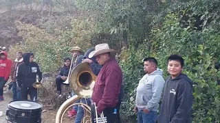 asi recorrieron las bandas en las calles principales  la escopeta peras TROMPETISTA ALEGRE OFICIAL