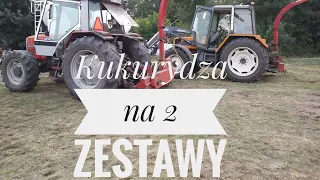 Kukurydza 2018 na 2 zestawy