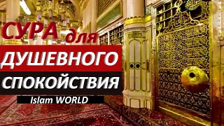 УСПОКОИТЬ НЕРВЫ, УБРАТЬ ПЕРЕЖИВАНИЯ, УБРАТЬ СТРЕСС, СЛУШАЙТЕ СУРУ ДЛЯ СПОКОЙСТВИЯ!