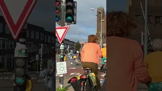 Bicycles Don't Need Traffic Lights