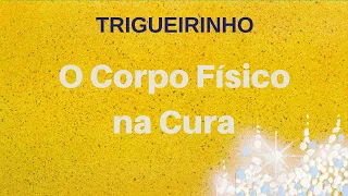 Trigueirinho | O Corpo Físico na Cura