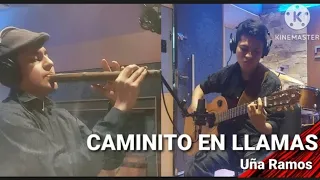 Caminito en Llamas - The B.O.B, (COVER) #andino #artist #charango #musica #quena #hermanos #viral