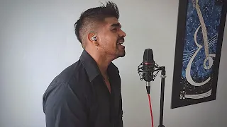 Luis Miguel - Devuelveme el Amor | Cover David Fernando |