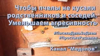 Чтобы пчелы не кусали  родственников и соседей. Уменьшаем агресивность  #ПростыеРешения