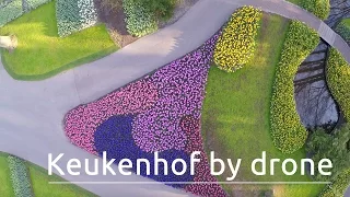 Keukenhof, 's werelds grootste bloementuin, gefilmd met een drone