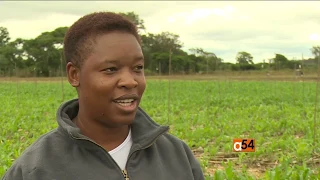 Zimbabwe Climate Agriculture