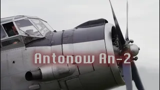 Antonow An-2 - Tante Anna