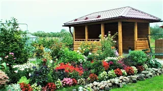 Отличные примеры красивого сада / Great examples of a beautiful garden