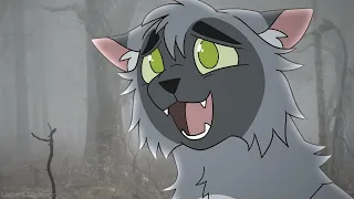 you used to be nice // warrior cats oc pmv